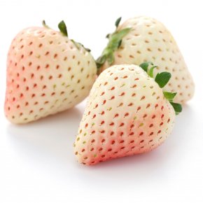 สารสกัดสตรอว์เบอร์รีขาว White Strawberry