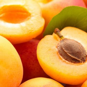 สารสกัดจากผลแอปริคอท(Apricot Extract)- สุดยอดเคล็ดลับ ออร่าพุ่ง ด้วยผลไม้เล็กๆที่สรรพคุณไม่ธรรมดา 