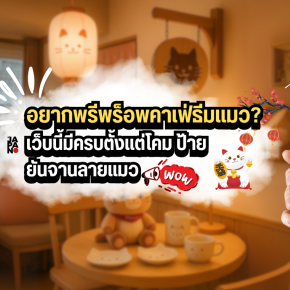 อยากพรีพร็อพคาเฟ่ธีมแมว? เว็บนี้มีครบตั้งแต่โคม ป้าย ยันจานลายแมว