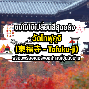 วัดโทฟุคุจิ (東福寺  Tofuku-ji): ชมใบไม้เปลี่ยนสีสุดอลัง พร้อมพรีออเดอร์ของฝากญี่ปุ่นถึงบ้าน