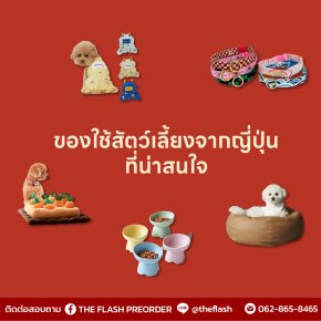 ของใช้สัตว์เลี้ยงจากญี่ปุ่น  ดีไซน์น่ารัก ฟังก์ชันครบ สำหรับทาสหมา-แมวสายพรีเมียม