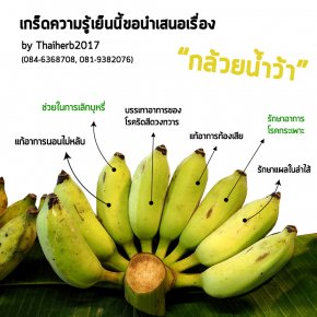 กล้วยน้ำว้าเพื่อสุขภาพ