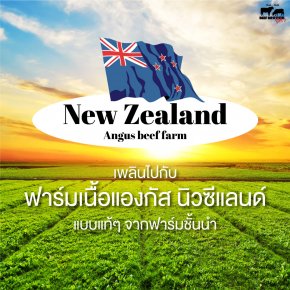 New Zealand Angus Beef Farm