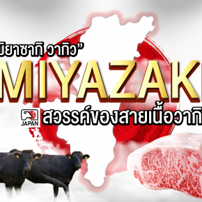 มิยาซากิ วากิว (Miyazaki Wagyu) สวรรค์ของสายเนื้อวัววากิวญี่ปุ่น