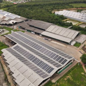 PPA Investor : บริษัท ปตท. น้ำมันและการค้าปลีก จำกัด (มหาชน)