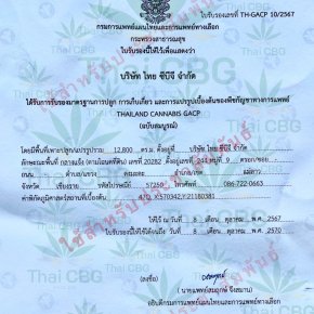 บริษัทไทย ซีบีจี  จำกัด ได้รับมาตรฐาน Thailand cannabis GACP จากกรมการแพทย์แผนไทยและการแพทย์ทางเลือก กระทรวงสาธารณสุข