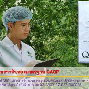 Thai CBG ผ่านการรับรองมาตรฐาน GACP กรมวิชาการเกษตร