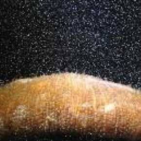 พบปะการังเปลี่ยนเพศได้ ปรับตัวรับสภาวะโรคร้อน พบปะการังเปลี่ยนเพศได้ ปรับตัวรับสภาวะโรคร้อน