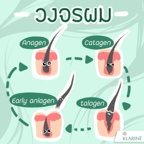 วงจรชีวิตเส้นผม 3 ระยะการเติบโตที่ใครหลายคนไม่เคยรู้มาก่อน!