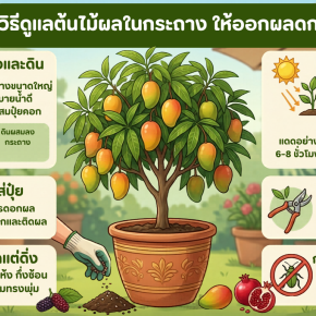 วิธีดูแลไม้ผล