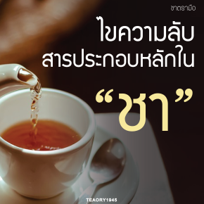 ไขความลับสารประกอบหลักใน “ชา”