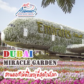 ดูไบ มิราเคิล การ์เด้น สวนดอกไม้ที่ใหญ่ที่สุดในโลก 