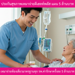 ประกันสุขภาพเหมาจ่ายดีเฮลท์พลัส