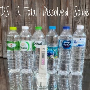 TDS ( Total Dissolved Solids ) 
