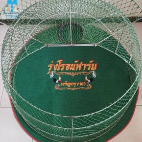 ขอบพระคุณ รุ่งโรจน์ฟาร์ม  พรมรองสุ่มไก่ เย็บขอบ หนา 3-4 มิล  มุ้งไก่ชน ตัดเย็บด้วยผ้าสีเดียวทั้งหลัง เย็บผ้าทับหูแขวนไม่หลุดง่ายl เย็บเก็บชายมุ้ง  มีบริการปักชื่อ และโลโก้  สนใจสอบถามเพิ่มเติม  https://line.me/ti/p/VJeTnWFnQS  www.sawasdeepolo.com ️ 08422