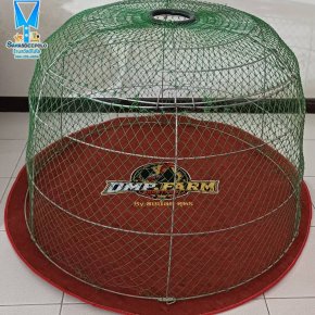ขอบพระคุณ DMP.FARM By ขนน้อย อุดร  มุ้งไก่ชน  พรมไก่ชน  มีบริการปักชื่อ และโลโก้  สนใจสอบถามเพิ่มเติม  https://line.me/ti/p/VJeTnWFnQS  www.sawasdeepolo.com ️ 0842254054 #sawasdeepolo #สวัสดีโปโล #พรมไก่ #พรมไก่พร้อมปัก #พรมรองสุ่ม #พรมรองสุ่มไก่ #พรมกลมร