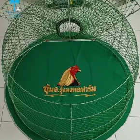ขอบพระคุณ ซุ้ม อ.รุ่งมงคลฟาร์ม By มังกรเมืองย่า   พรมไก่ชน  มุ้งไก่ชน  มีบริการปักชื่อ และโลโก้  สนใจสอบถามเพิ่มเติม  https://line.me/ti/p/VJeTnWFnQS  www.sawasdeepolo.com ️ 0842254054 #sawasdeepolo #สวัสดีโปโล #พรมไก่ปักโลโก้ #พรมไก่พร้อมปัก #พรมไก่ปักชื