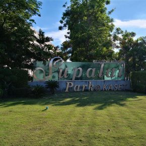 ผ้าม่าน supalai park แยกเกษตร