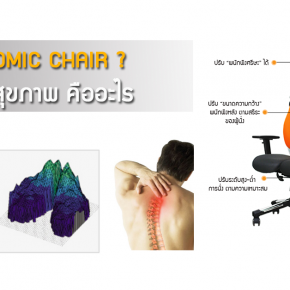 ERGONOMIC CHAIR : เก้าอี้เพื่อสุขภาพ คืออะไร ?