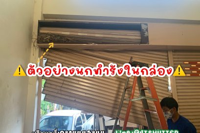 ซ่อมบำรุงประตูม้วนนกทำรัง