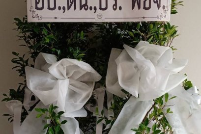 พวงหรีดต้นไทร