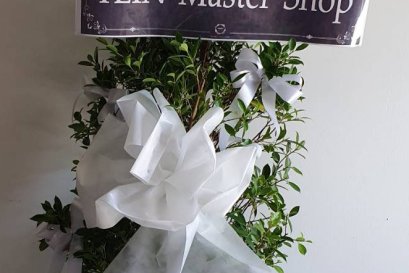 พวงหรีดต้นไทร