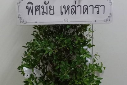 พวงหรีดต้นไทร