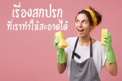 เรื่องสกปรกที่เราทำให้สะอาดได้