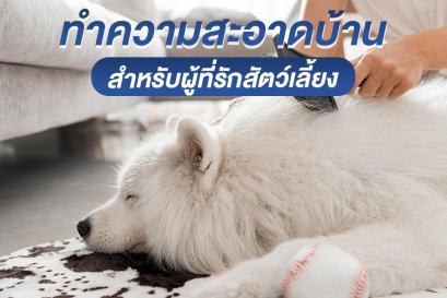 ทำความสะอาดบ้าน สหรับผู้ที่รักสัตว์เลี้ยง