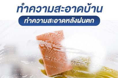 ทำความสะอาดบ้านหลังฝนตก