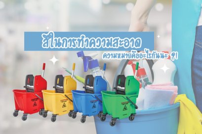 สีในการทำความสะอาด