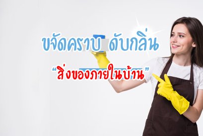ขจัดคราบ ดับกลิ่น " สิ่งของภายในบ้าน "