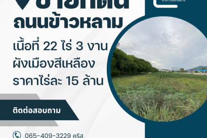 ขายที่ดินถนนข้าวหลาม