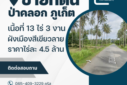 ขายที่ดินภูเก็ต