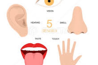 เมื่อลืมตาตื่นขึ้นมา ตา หู จมูก ลิ้น กาย ใจ เริ่มทำงานทันที