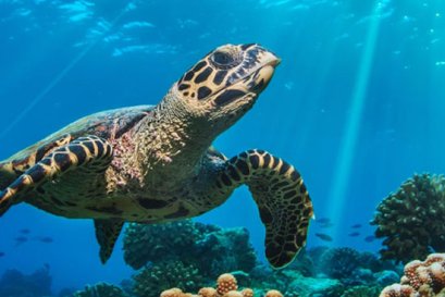 เกิดมาเป็นคนยากเป็นอันดับหนึ่ง