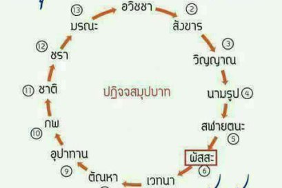 ความคิดเห็นของคนเราคืออะไร