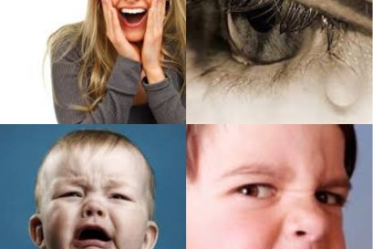 ไม่เที่ยงเกิดดับ คือตัวฆ่าความพอใจไม่พอใจ ไม่มีอะไร อย่างอื่นฆ่ามันได้