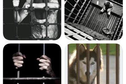 กรรมหรือความประมาท