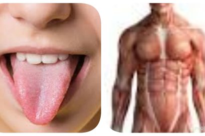 น้อยหนึ่งของตัวเรา ก็ไม่มีในที่ไหนไหน น้อยหนึ่งของใครใคร