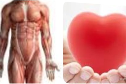 ตัวของเรามีสองตัว ที่ซ้อนทับกันอยู่