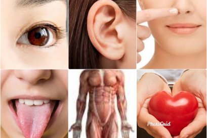 การวิปัสสนาภาวนา ดับทุกข์ได้อย่างไร?