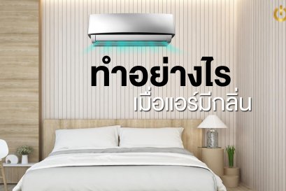 ทำอย่างไรเมื่อแอร์มีกลิ่นอับ สาเหตุเกิดจากอะไรแล้วจะแก้ไขได้ยังไง?