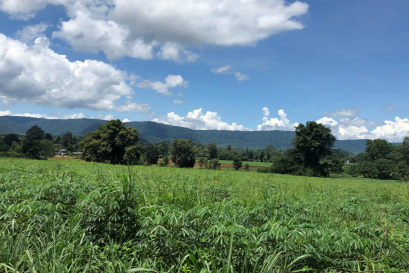 ปิดการขาย!!! ที่ดินปากช่อง-เขาใหญ่