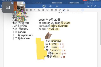 tutorbento.com รีวิว