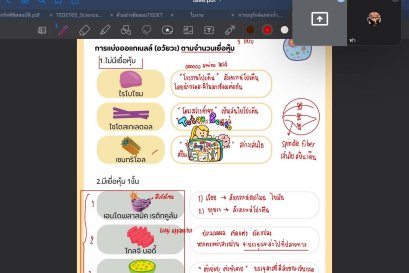 tutorbento.com รีวิว