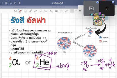 tutorbento.com รีวิว