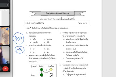 tutorbento.com รีวิว