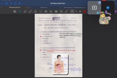 tutorbento.com รีวิว