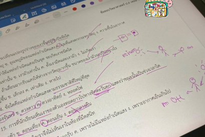 tutorbento.com รีวิว